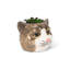 Petit pot à fleurs pour chat tigré-107505597