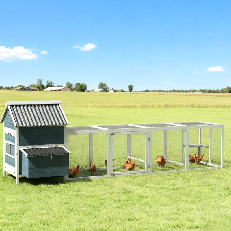 Poulailler pour 10 à 15 poulets