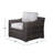 Melanie Fully Assembled Patio Chair with Cushions-1590417595-1590417590
