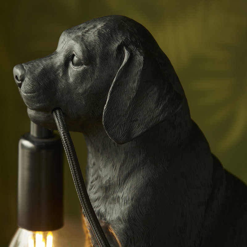 Isaacs Resin Novelty Lamp, Black