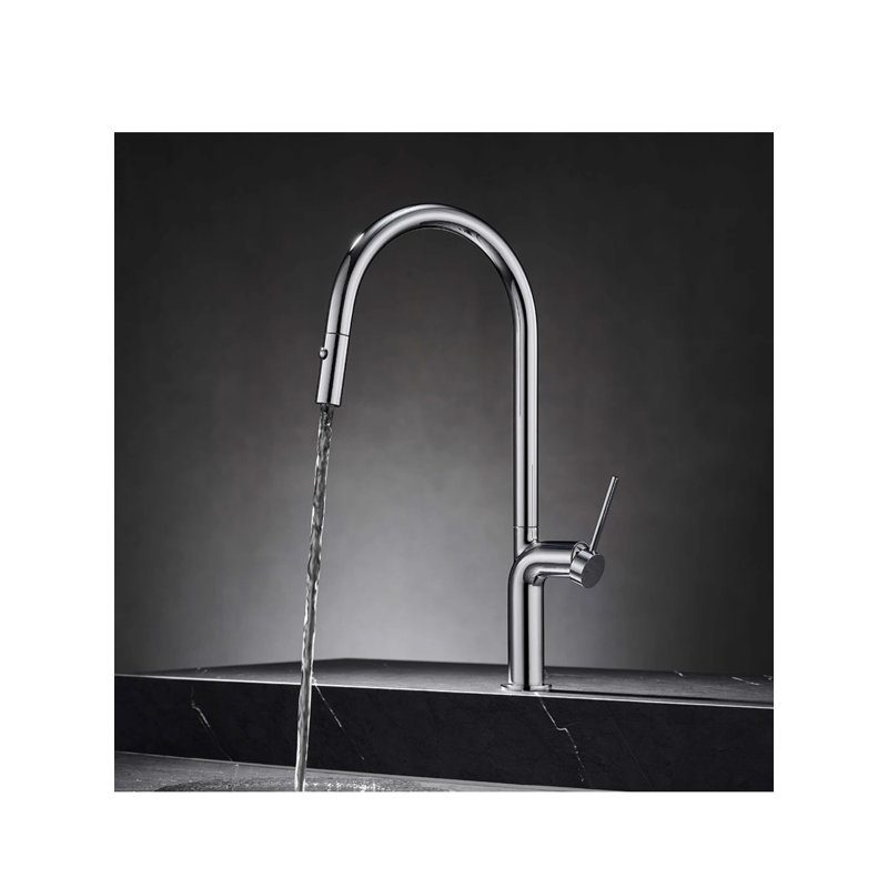 AvaMalis Pull Out Kitchen Faucet, Brushed Chrome