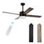 Avamaria 52'' Ceiling Fan with LED Lights-1002625161