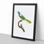 Peruvian Jay Bird by Jacques Barraband - Picture Frame Painting Print-55582979-55582980