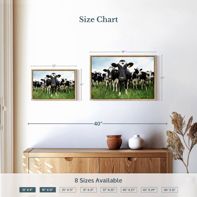 Vaches Holstein, 19 po x 13 po, Cadre flottant en bois naturel