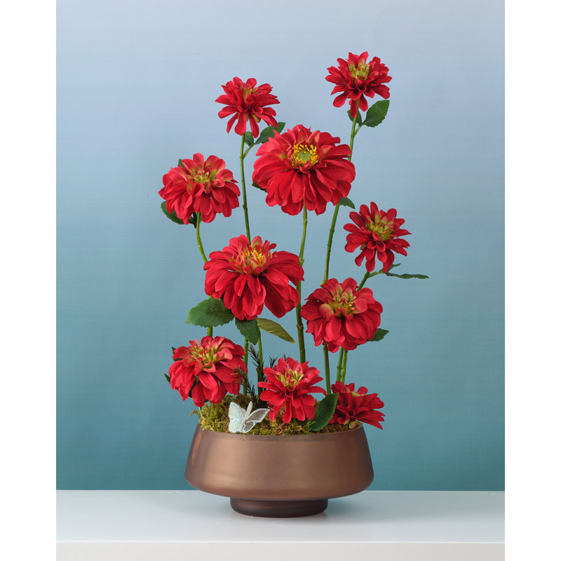 Ensemble de dahlia 17 po, Rouge