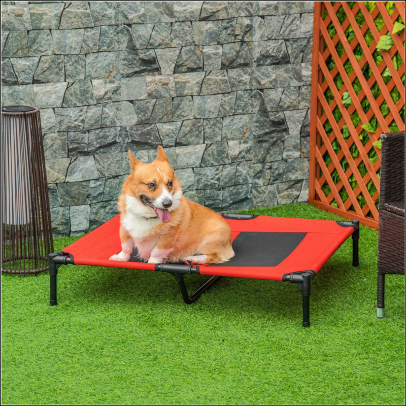 Lit pour chien surélevé avec ventilation en filet, 7" H x 36" W x 30" D, Rouge
