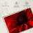 Harnek Red Flower Bloom-107471775