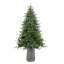 Sapin de Fraser Jasper Elite avec DEL