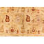 Tapis en laine tissé à la main 9 x 11 po Amritsar Indian