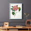 Reproduction encadrée pressée Camellia II - bois massif-309909434-309909437
