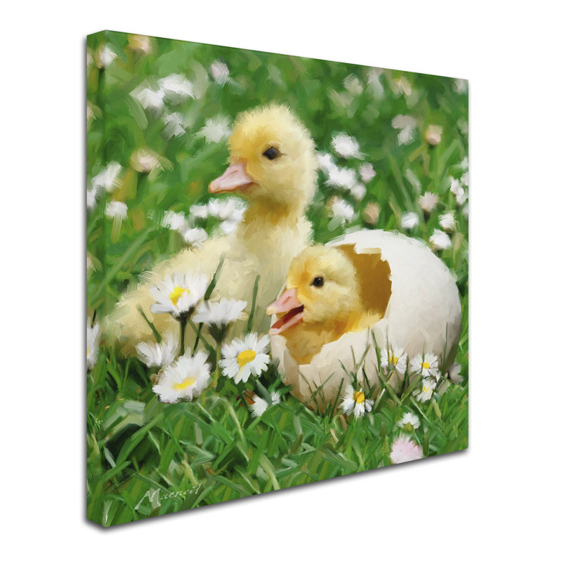 «Armand Chicks» par Armand, reproduction sur toile, H 24 po x l 24 po x P 2 po