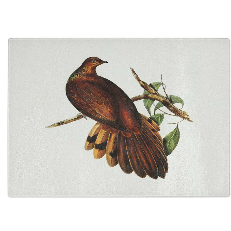 Tempered Glass Pheasant-Tailed Pigeon by Elizabeth Gould Chopping Board, 39 cm W x 28.5 cm L