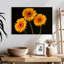 Trois marguerites Harnek sur fond sombre-108136812