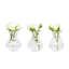 Mini Vase Trio