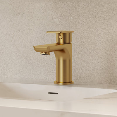  Bathroom Faucet with Drain Assembly, Single Handle Bathroom Sink Faucet 