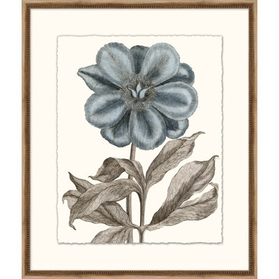 Azure Botanical " Azure Botanical 6 "