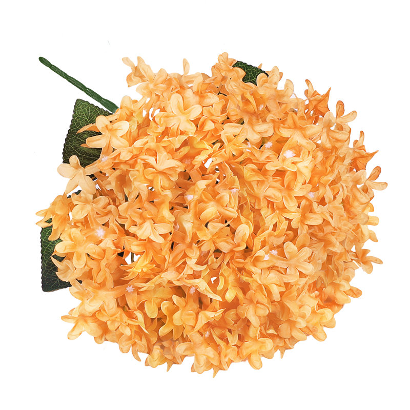 Étoile, hortensia et fleurs, Orange