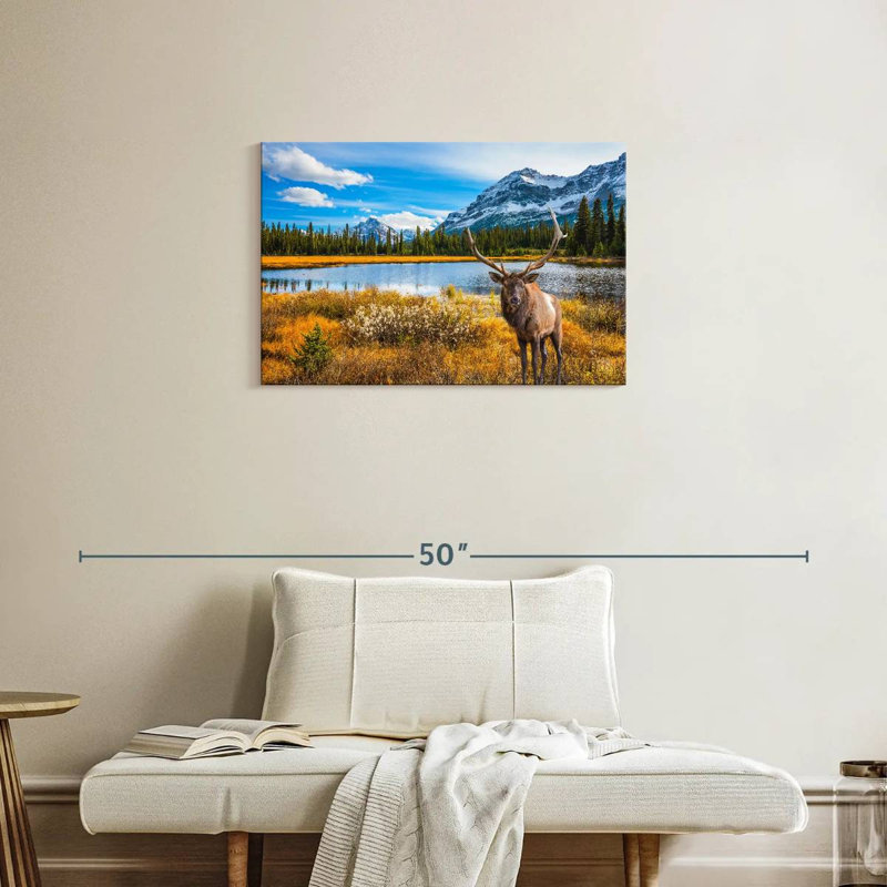 Brampt Magnificent Deer, 20" H x 30" W