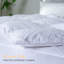 Édredon de luxe en duvet d'oie toutes saisons avec housse en coton biologique à densité de tissage 600 fils-1422352889