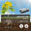 Aneliese Metal Raised Garden Bed-44886276