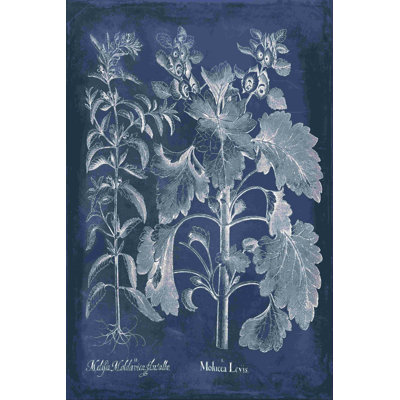 " Besler Leaves In Indigo I " by Vision Studio Painting Print