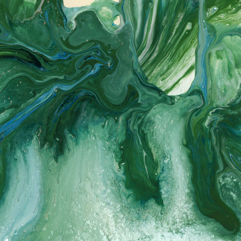 Amazonian II by Alicia Ludwig - Wrapped Canvas Painting, 51cm H x 51cm W