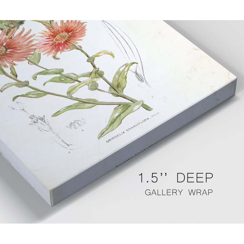 «Botanical I», ensemble de 2 reproductions d'art, Pas de tapis, H 32 po x l 48 po x P 1 po, Toile tendue