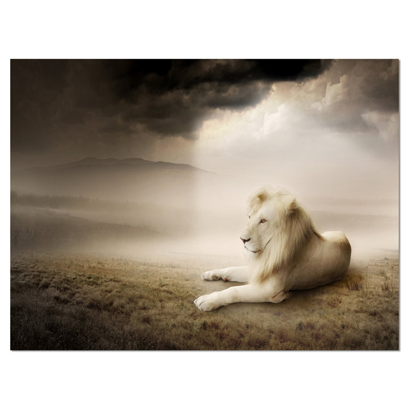 «King of Animals At Sunset», impression sur toile tendue, H 12 po x l 20 po x P 1 po
