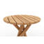 Outdoor Round Teak Side Table