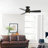 Lasky 44'' Ceiling Fan with LED Lights-944404858