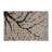 Botanical Gray Indoor and Outdoor Area Rug-1679666011