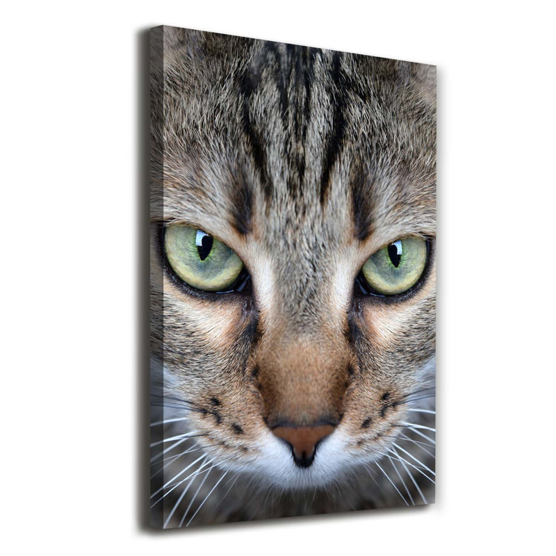 Cat's Eyes - Wrapped Canvas Print