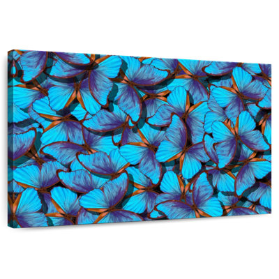 Essaim de papillon bleu Brampt