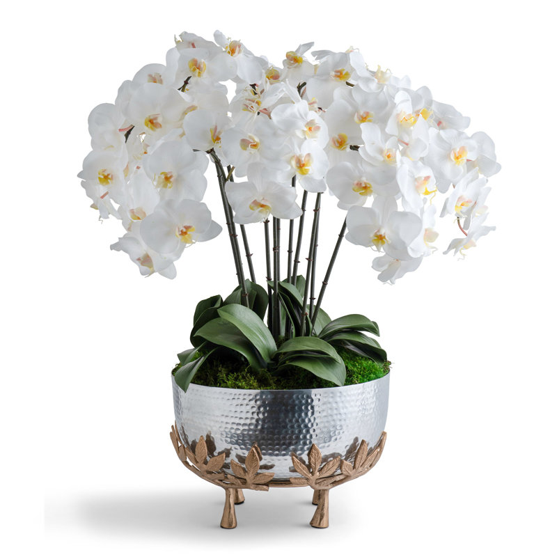 Orchids in Mixed Metal Urn, White