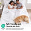 Ensemble de literie Southshore Fine Linens pour lit simple, motif botanique, 3 pièces, coloris Shamrock Breeze Grey-135031051-135031065