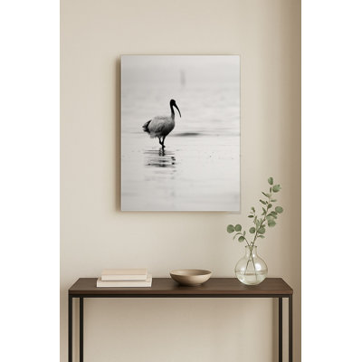 Ibis pataugeant dans l'eau calme — Portrait en métal
