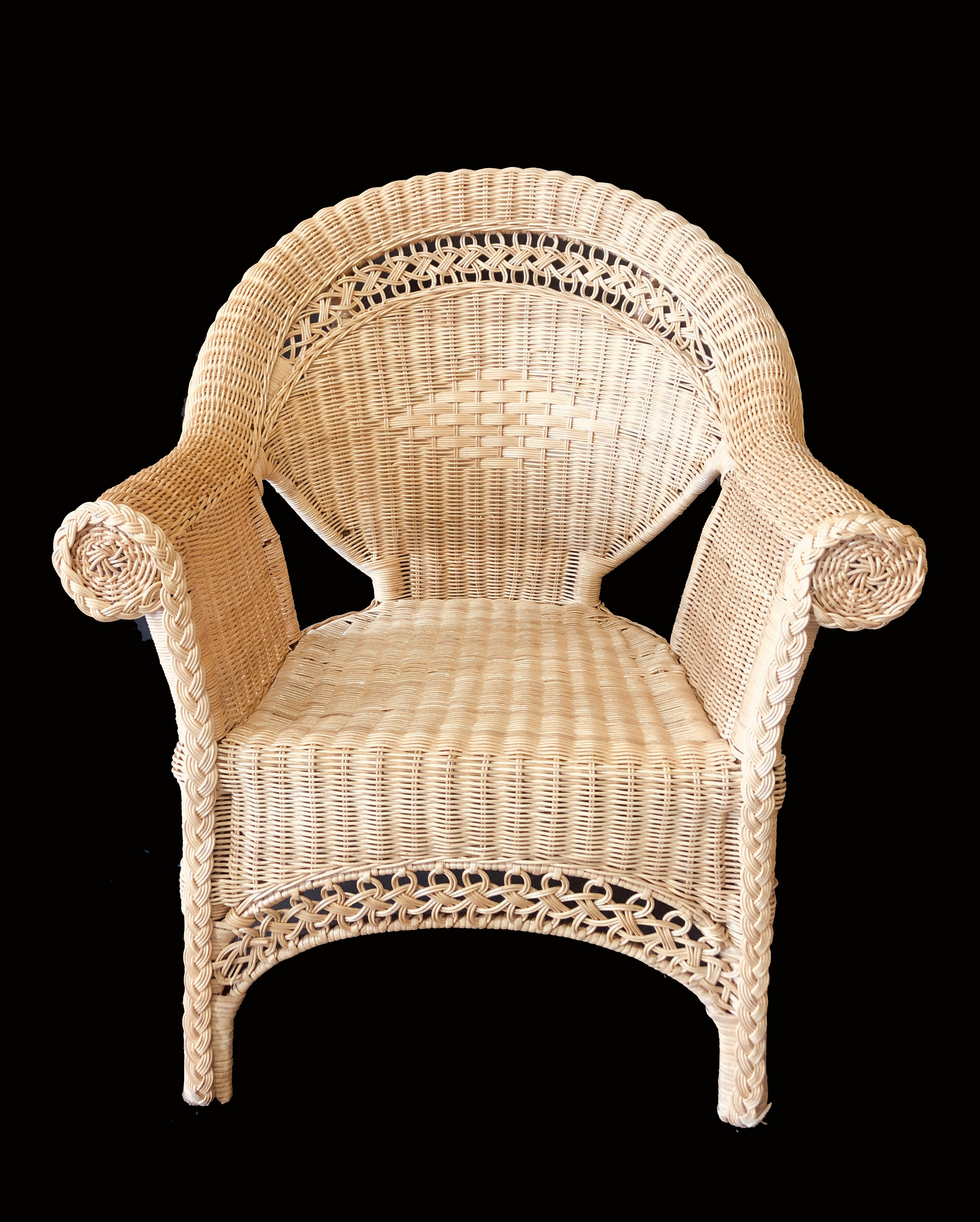 Peacock discount chair wayfair