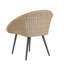 Laurie 2 Seater Rattan Conversation Set