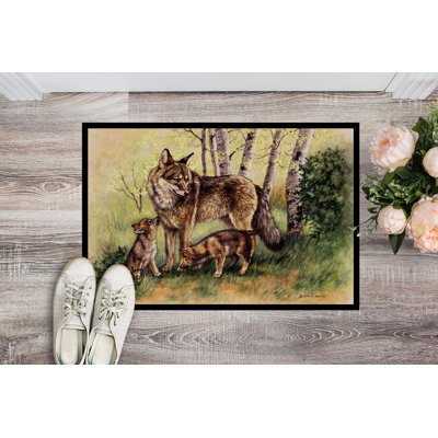 Non-Slip Outdoor Doormat
