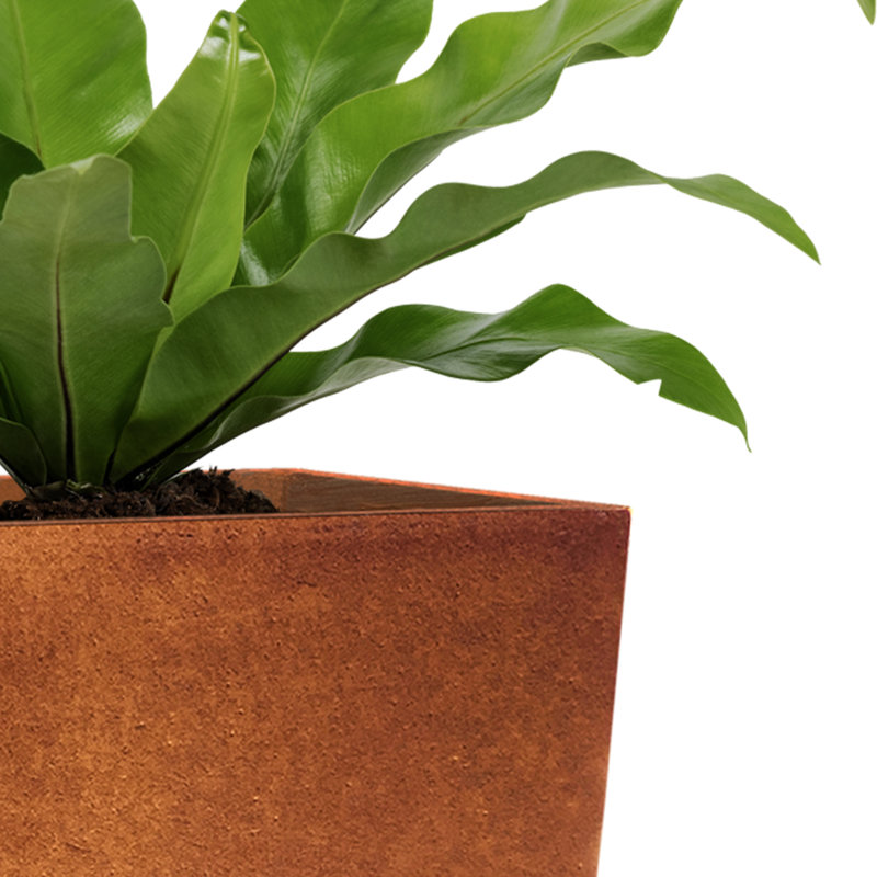 Hetum Pot Planter, Iron Oxide, 12.6" x 24.4"