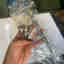Customer photo 4 of 4