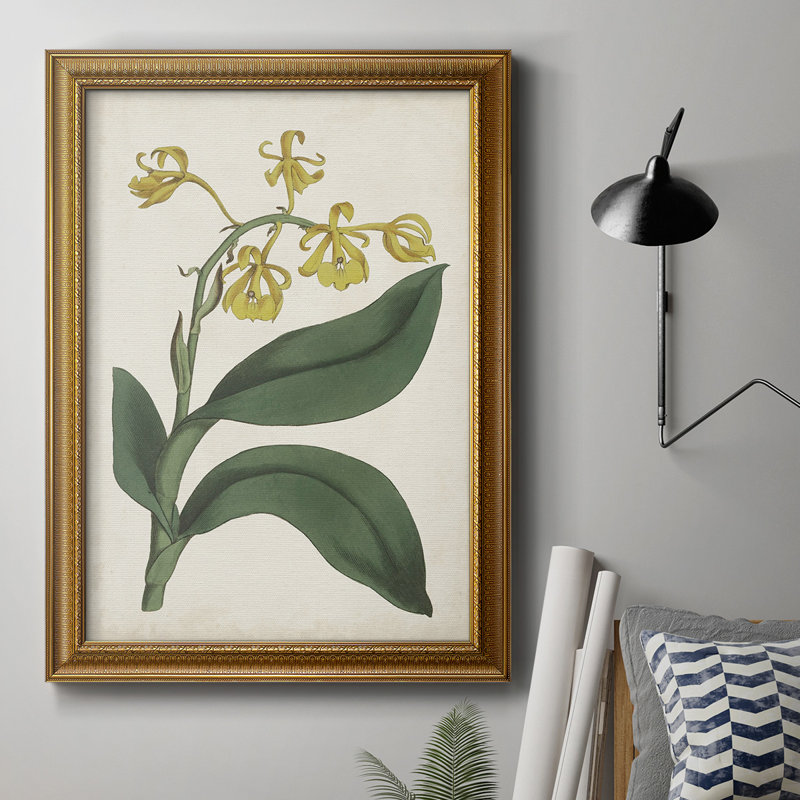" Antique Botanical Collection X ", 16" W x 20" H