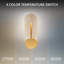 Clog Dimmable 3000K LED Outdoor Wall Light With Color Temperature Switch (2700K/3000K/3500K/4000K)-2022451450