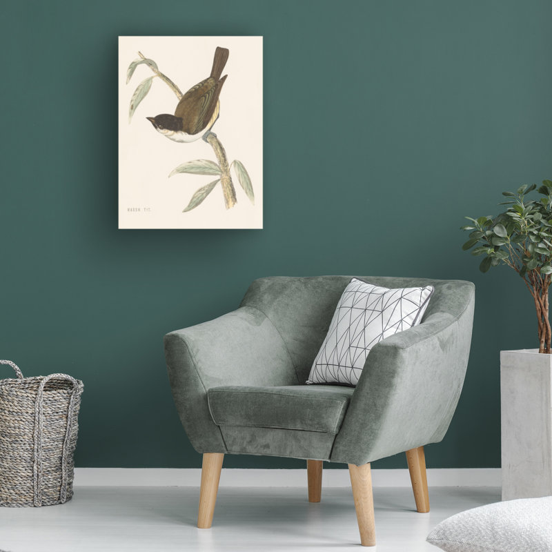 Engraved Birds II Horizontal Canvas Print with Wood Frame