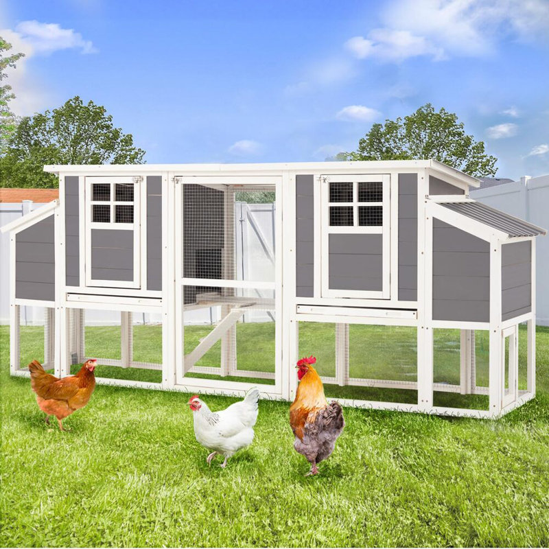Wood Chicken House With 4 Nesting Boxes & Pull-out Tray For 6-8 Chickens
