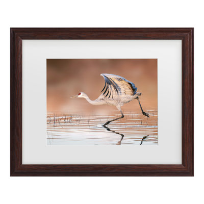 James Lu  Running In The Morning Mist Matted Framed Art