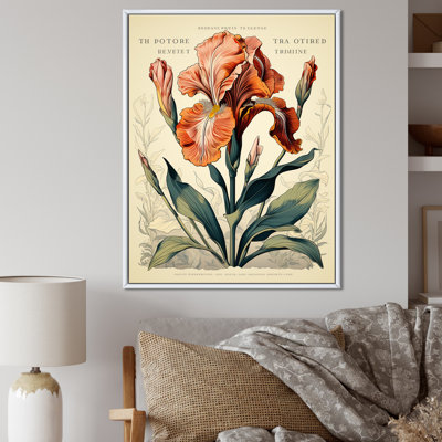 Iris rouge, illustration rétro sur toile
