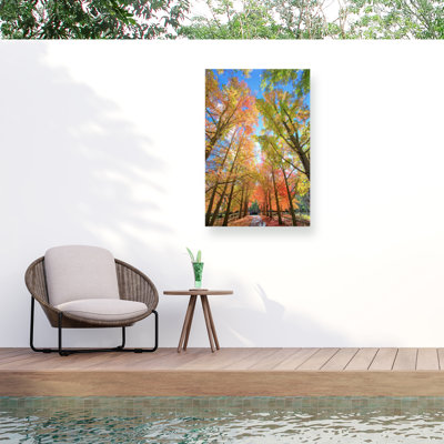 Canvas Landscape & Nature Wall Decor