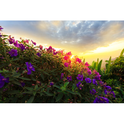 Purple Princess - Wrapped Canvas Print