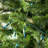 50.5' 100-Light String Lights-31889551